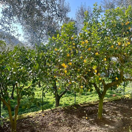 Sorrento Realty Holidays - The Smile Of The Sun Eksteriør bilde