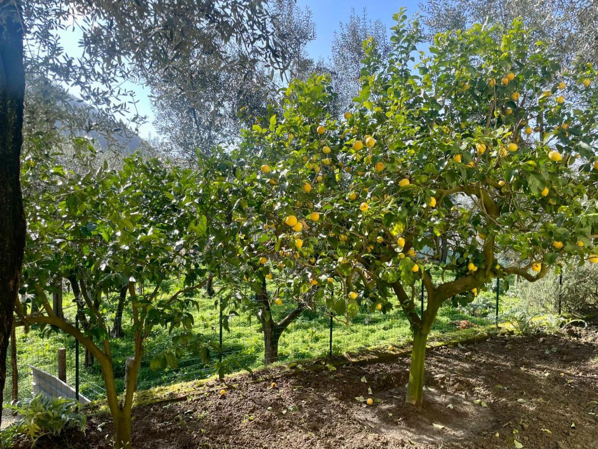 Sorrento Realty Holidays - The Smile Of The Sun Eksteriør bilde
